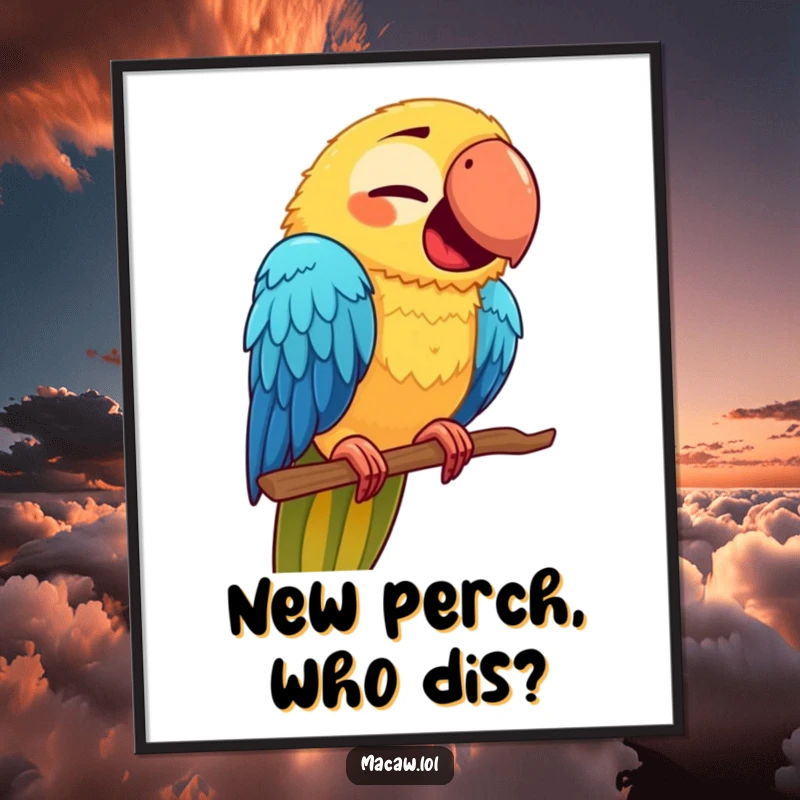 Funny Macaw Face Poster: A cute macaw with a funny, contorted expression, wobbling on a new perch for humorous wall art.
